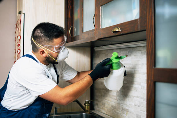 Best Cockroach Control Services  in Walkersville, MD