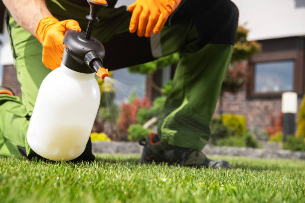 Best Pest Control Near Me in Walkersville, MD