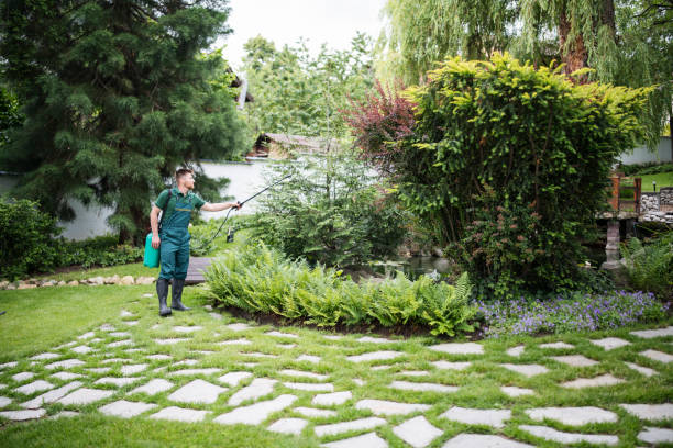 Best Local Pest Control Services  in Walkersville, MD