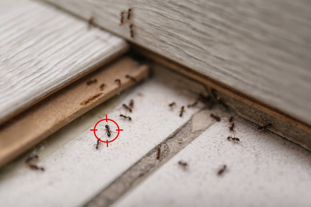 Walkersville, MD Pest Control Company
