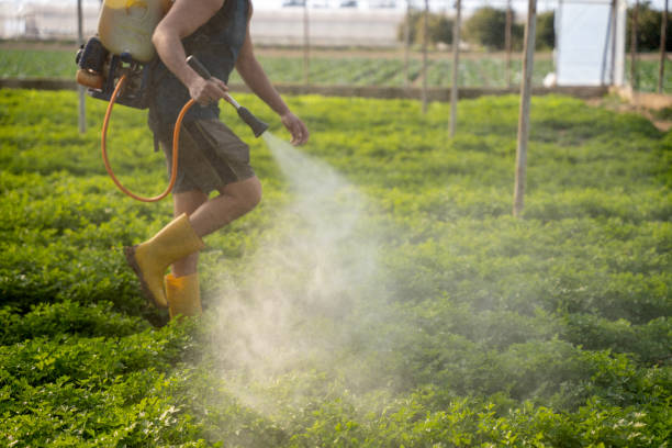 Best Affordable Pest Control Services  in Walkersville, MD